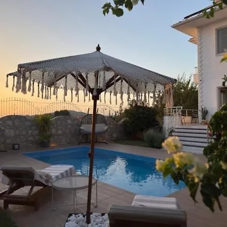 Villa Zalin *