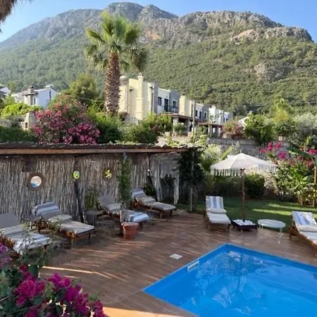 Villa Zalin *