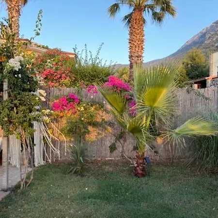 Villa Zalin