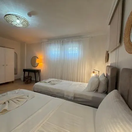 Zalin Villa *